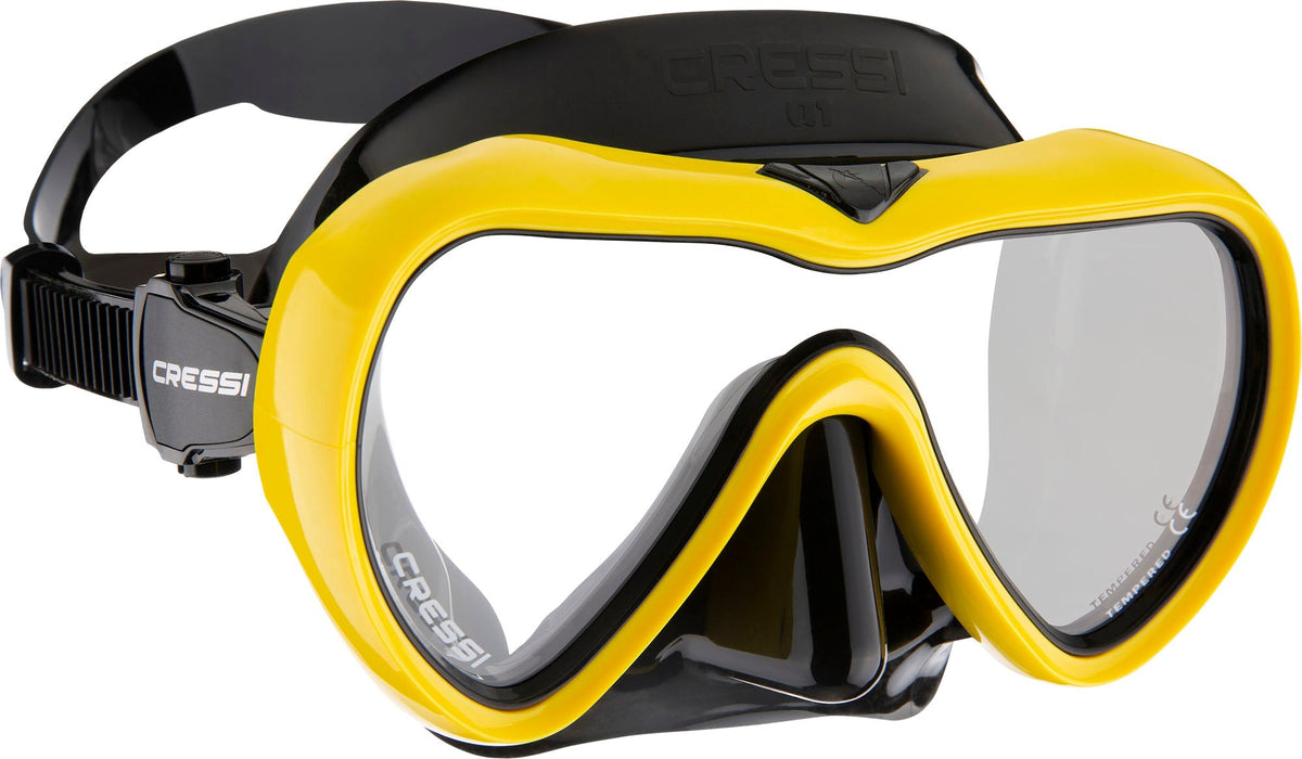 A1 Mask