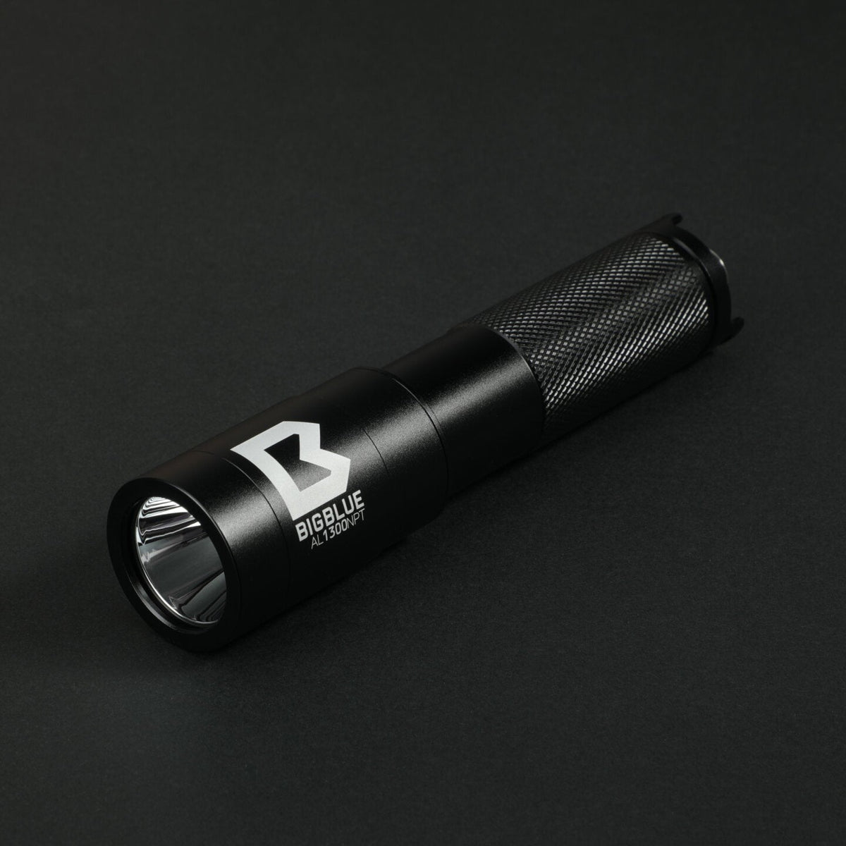 BigBlue AL1300NPT supplied with a protective case