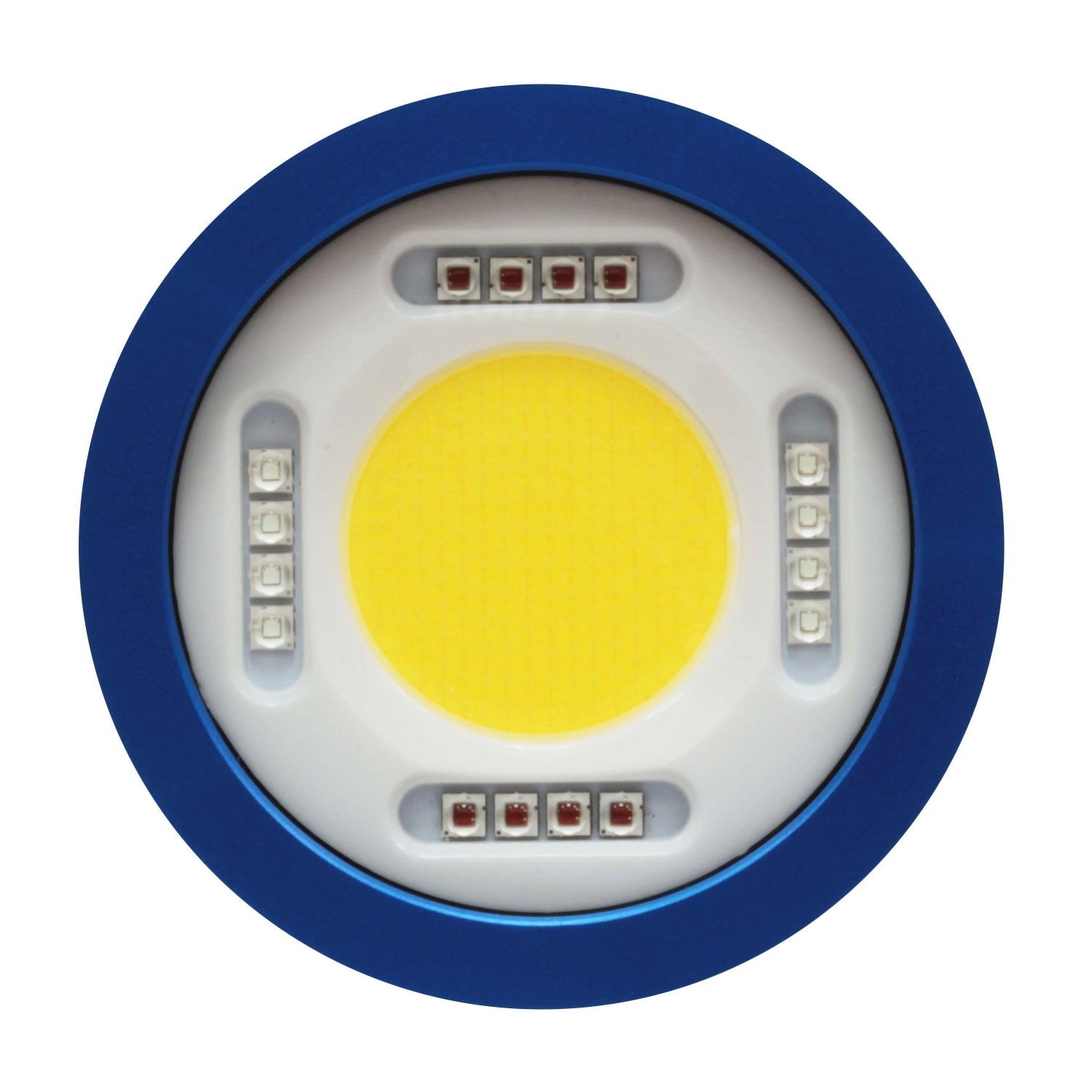 16,500-LUMEN VIDEO LIGHT