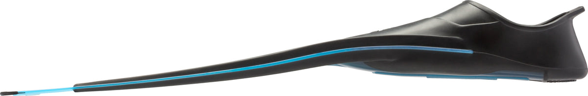 Rondinella Fins