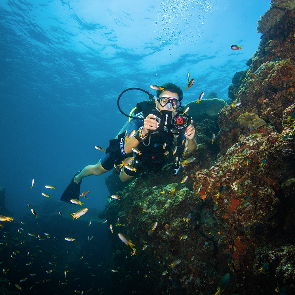 Diver filming a reef wall with the Divevolk SeaTouch 4 Max Plus Ocean Kit