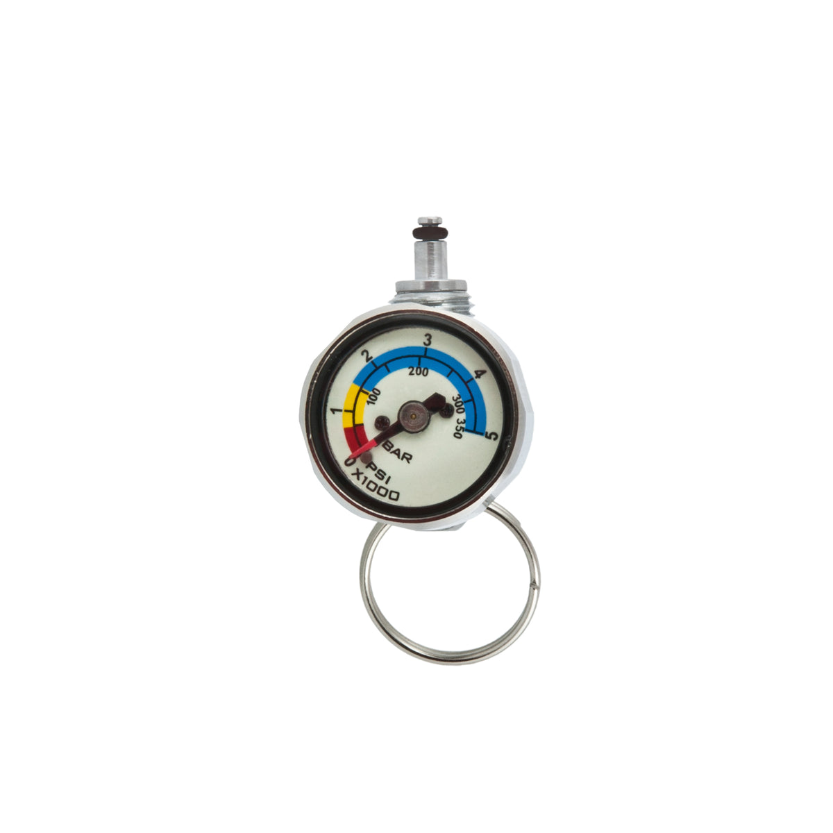 Tecline 26 mm pony SPG with colour banded dial