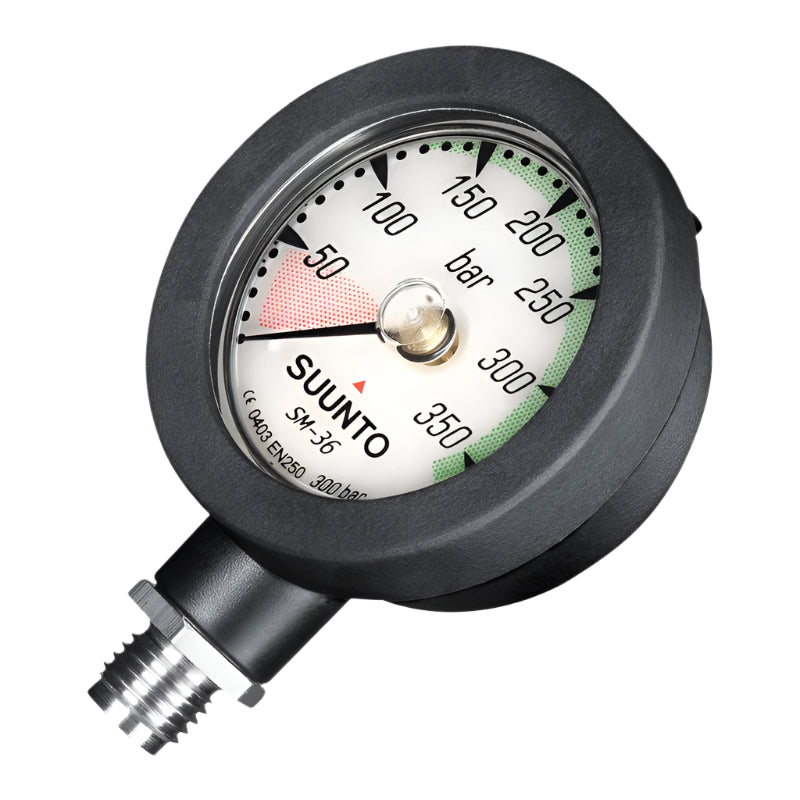 SM-36/300 MODULE PRESSURE GAUGE