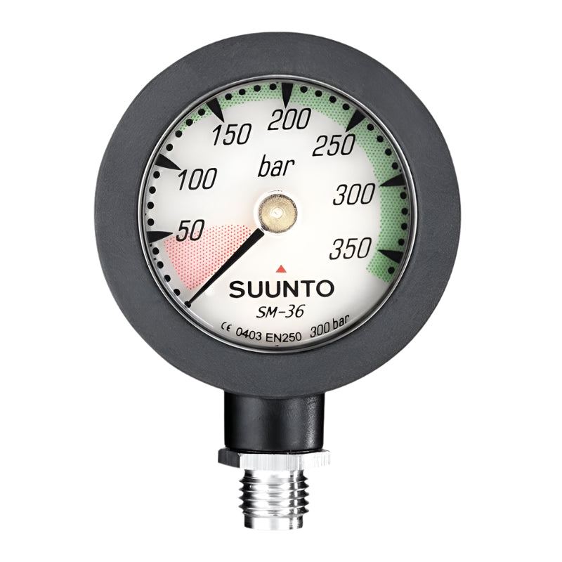 SM-36/300 MODULE PRESSURE GAUGE