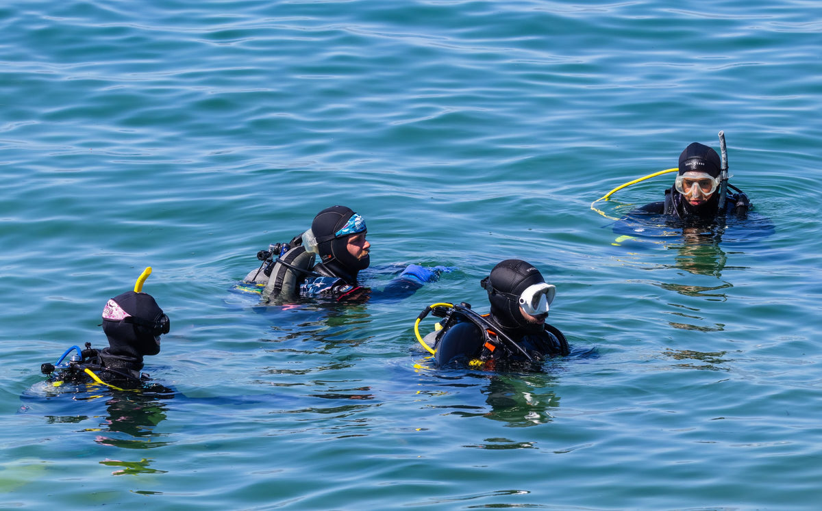 Four divers together at the surface in masks and hoods, nobody singled out