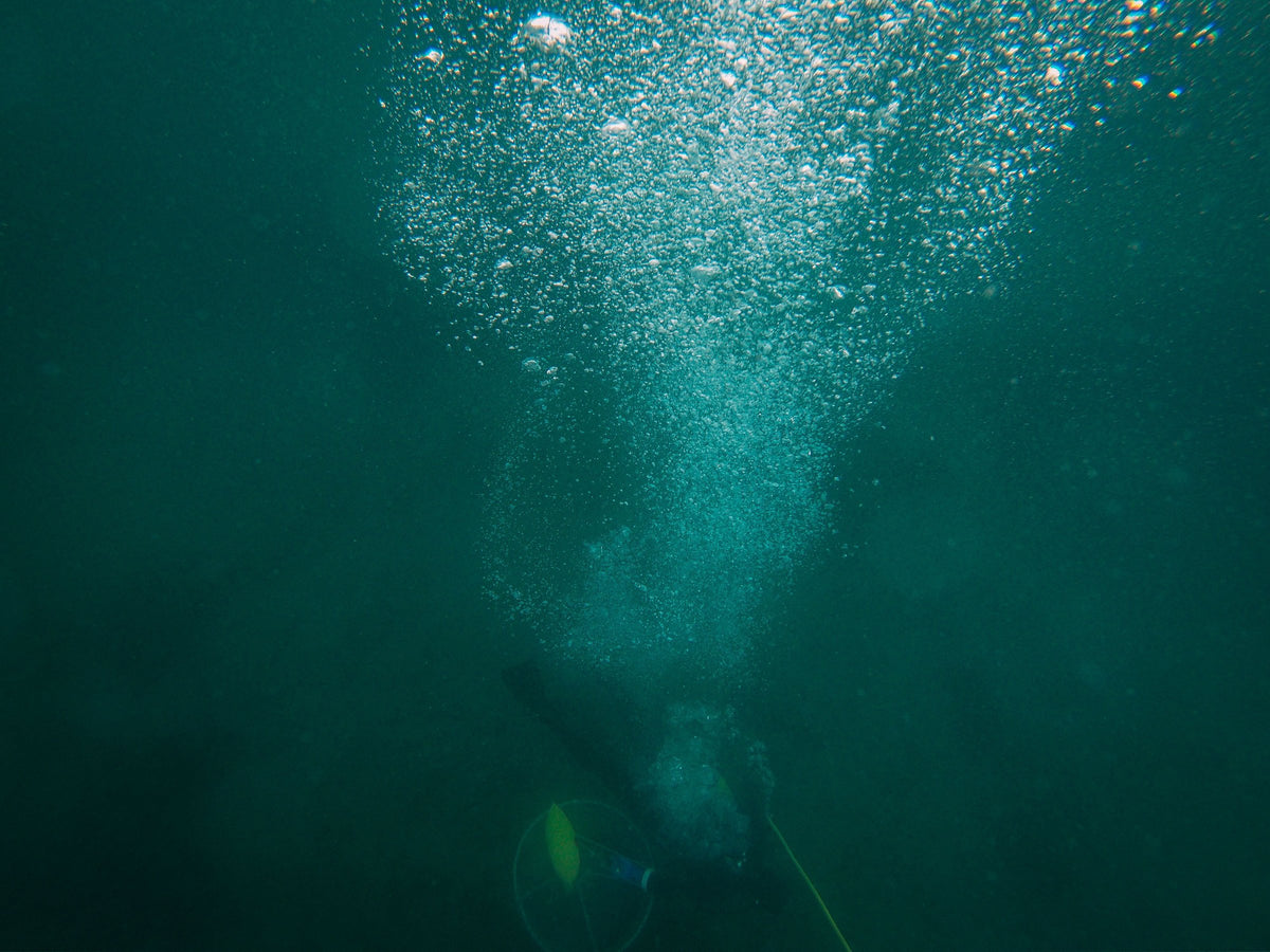 A column of exhaled bubbles rising through dark green water from a diver silhouetted below