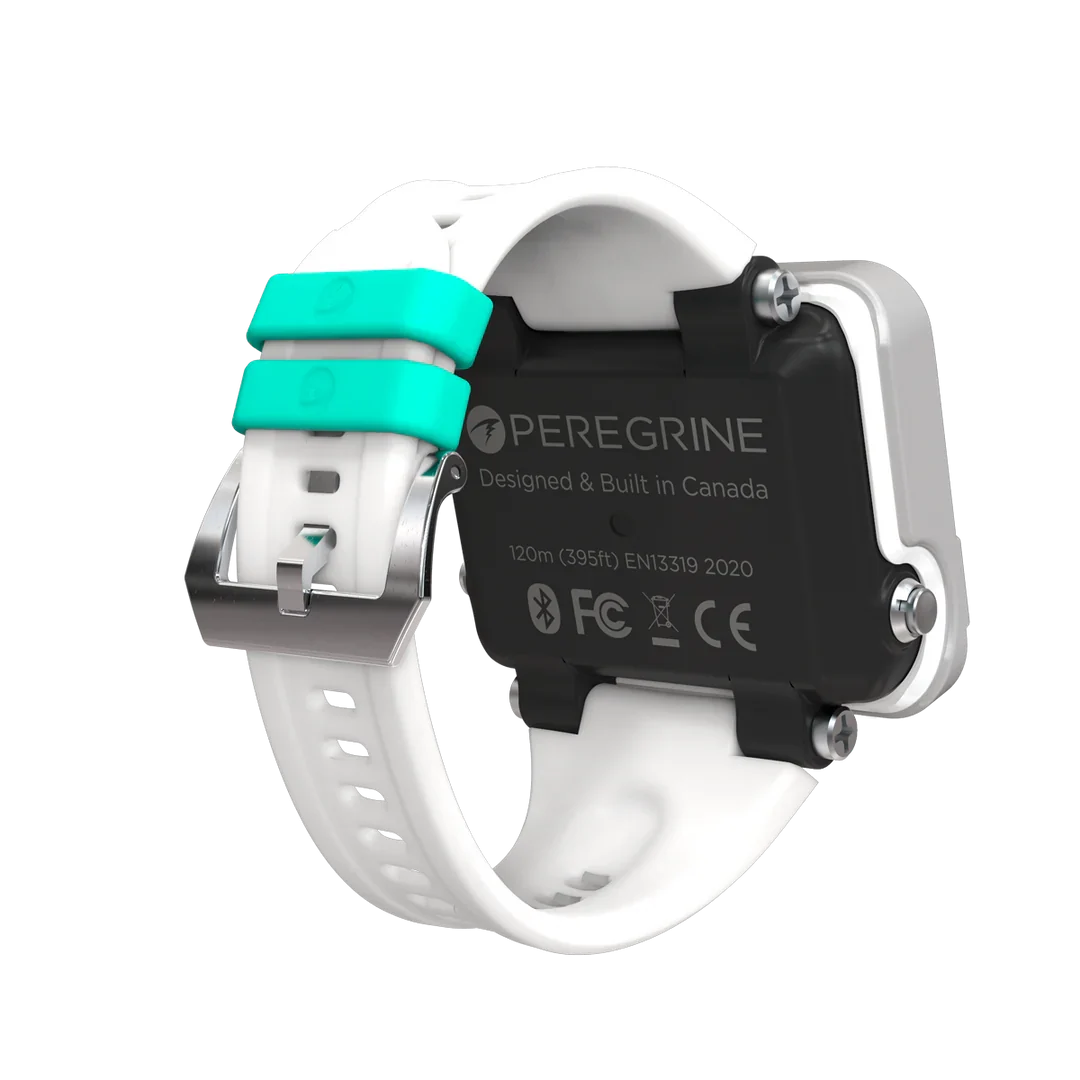 Shearwater Peregrine Light Edition, rear view showing the teal strap retainers and the 120m depth rating marking