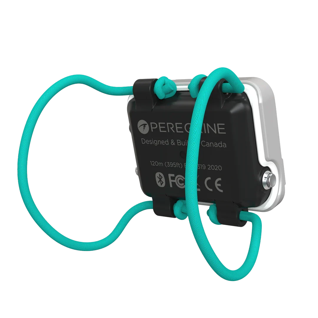 Shearwater Peregrine Light Edition rear view fitted with the teal bungee shock cord