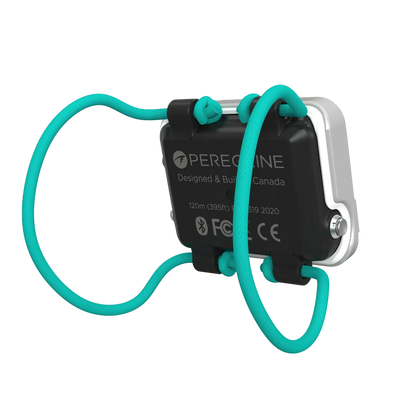Shearwater Peregrine Light Edition rear view fitted with the teal bungee shock cord