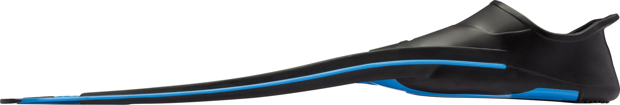 Rondinella Fins