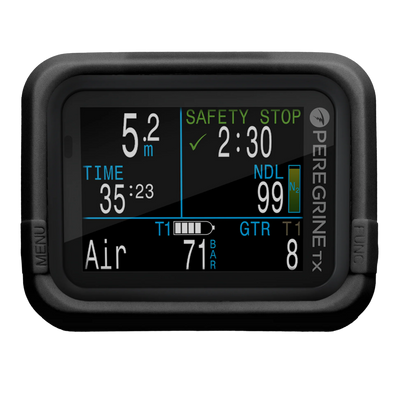 PEREGRINE SILICONE CASE