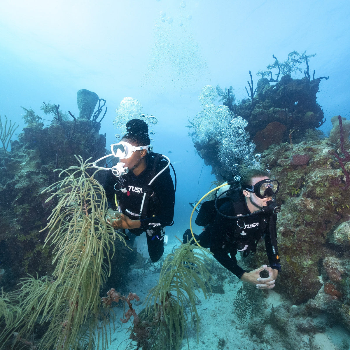 Two Adventure Divers exploring a sunlit reef side by side