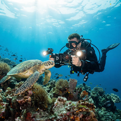 Diver filming a turtle with a Divevolk Dual Handle Tray phone rig