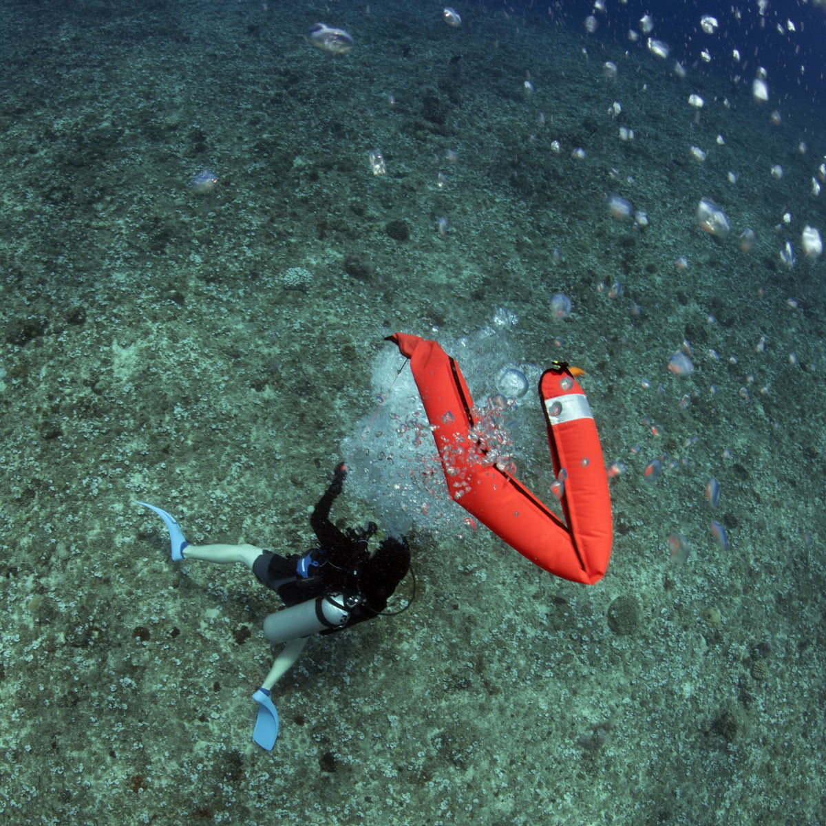 Diver on the bottom inflating an orange delayed surface marker buoy