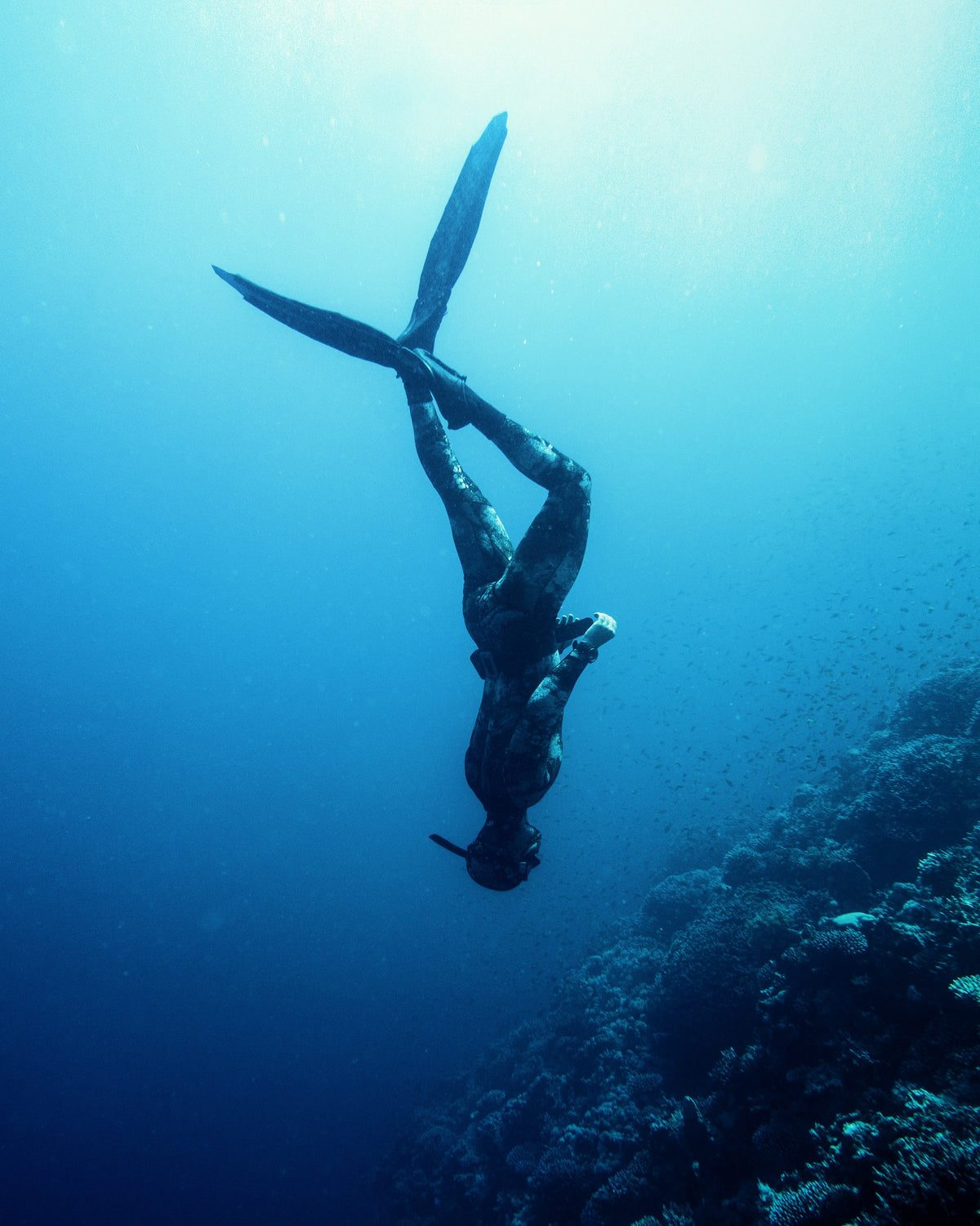 Freediver in long fins descending head first beside a reef wall