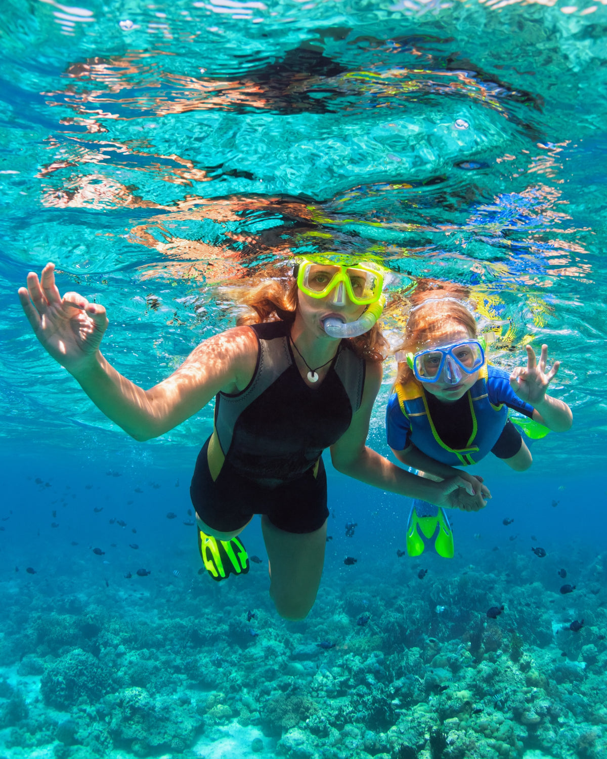 Parent and child snorkelling together over a coral reef