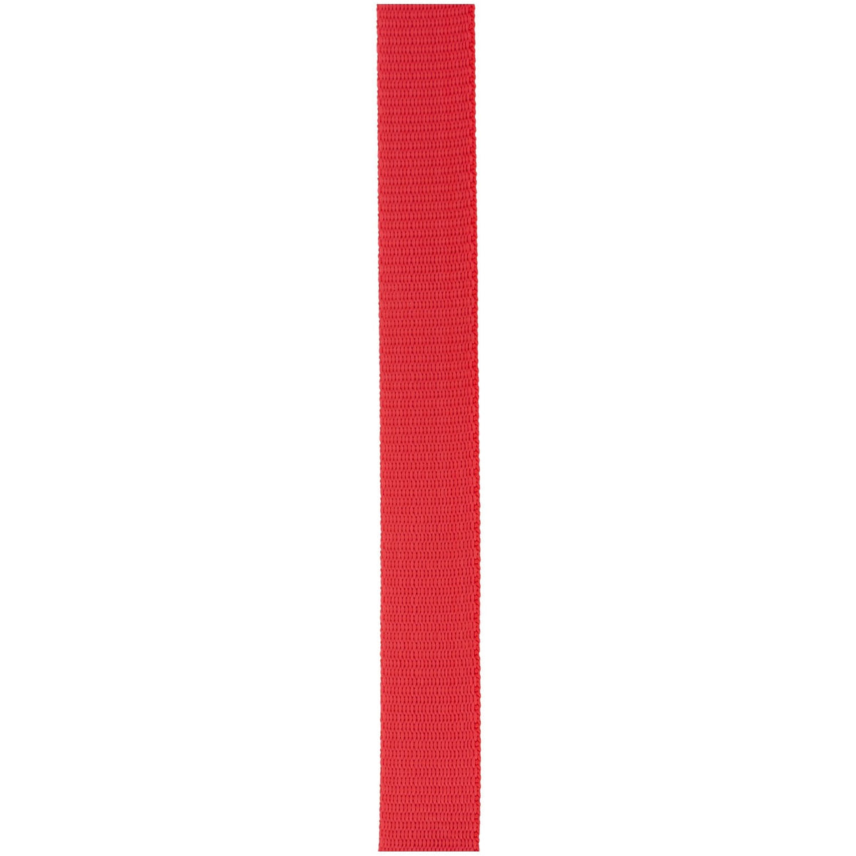 Length of red NRS 25 mm polypropylene webbing