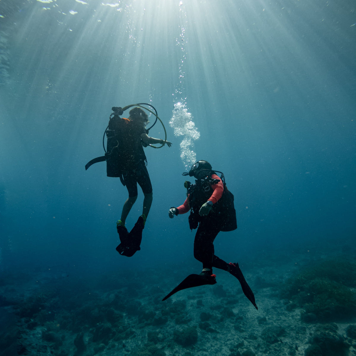 Buddy pair hovering mid-water in sun rays above a reef