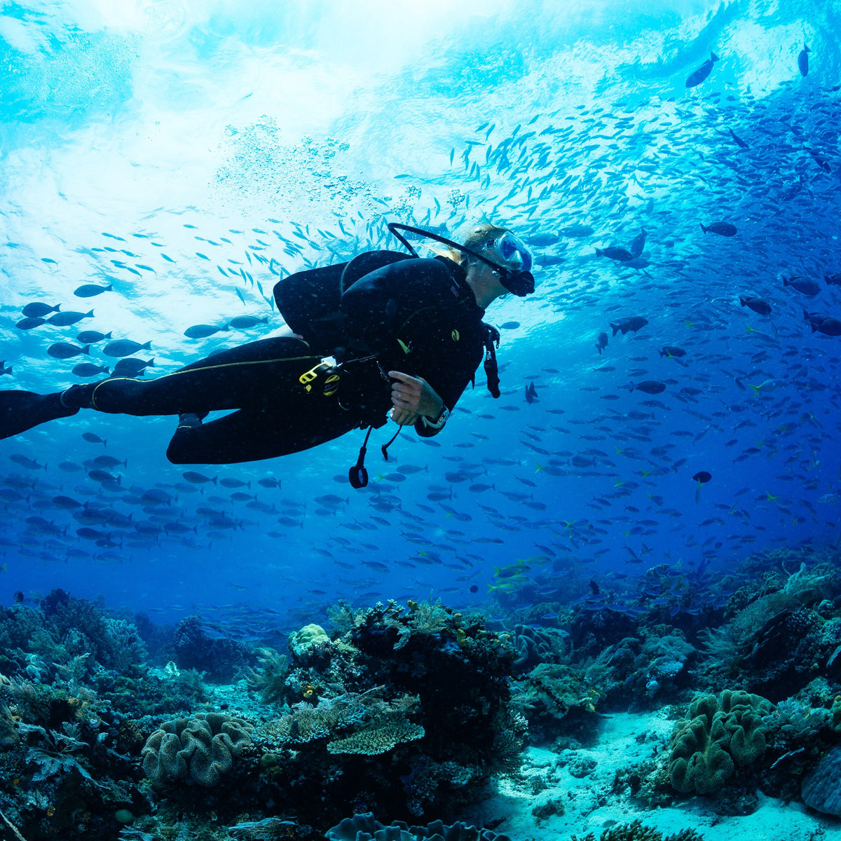 Diver in flat horizontal trim over a reef beneath a school of fish