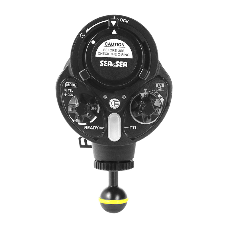 Sea & Sea YS-D3 DUO strobe with gold trim, front three-quarter view on its ball mount