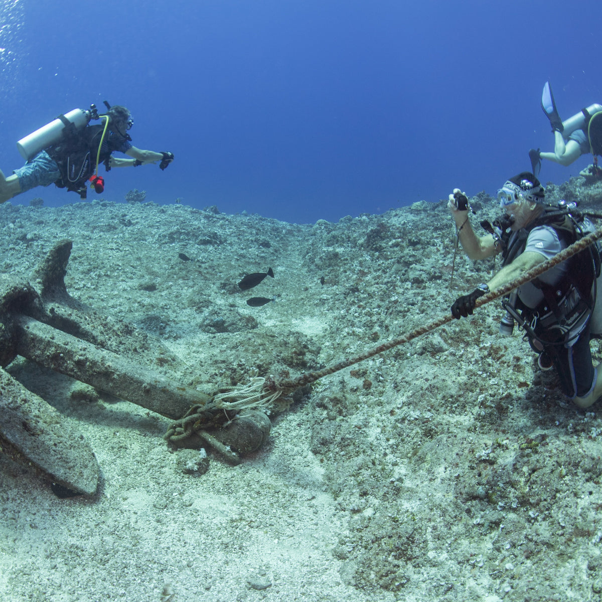 Divers finding an old anchor on the seabed with a recovery line tied to it