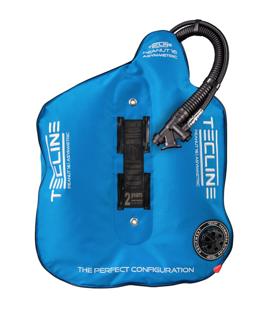 Tecline Peanut 21 asymmetric wing in black, front view with the inflator