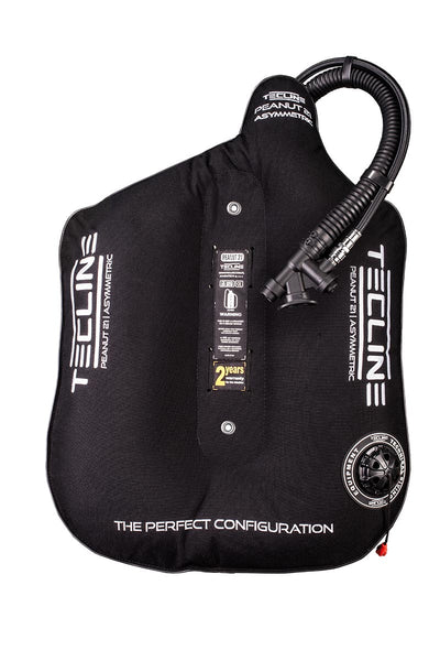 Tecline Peanut 21 asymmetric wing in black, front view with the inflator