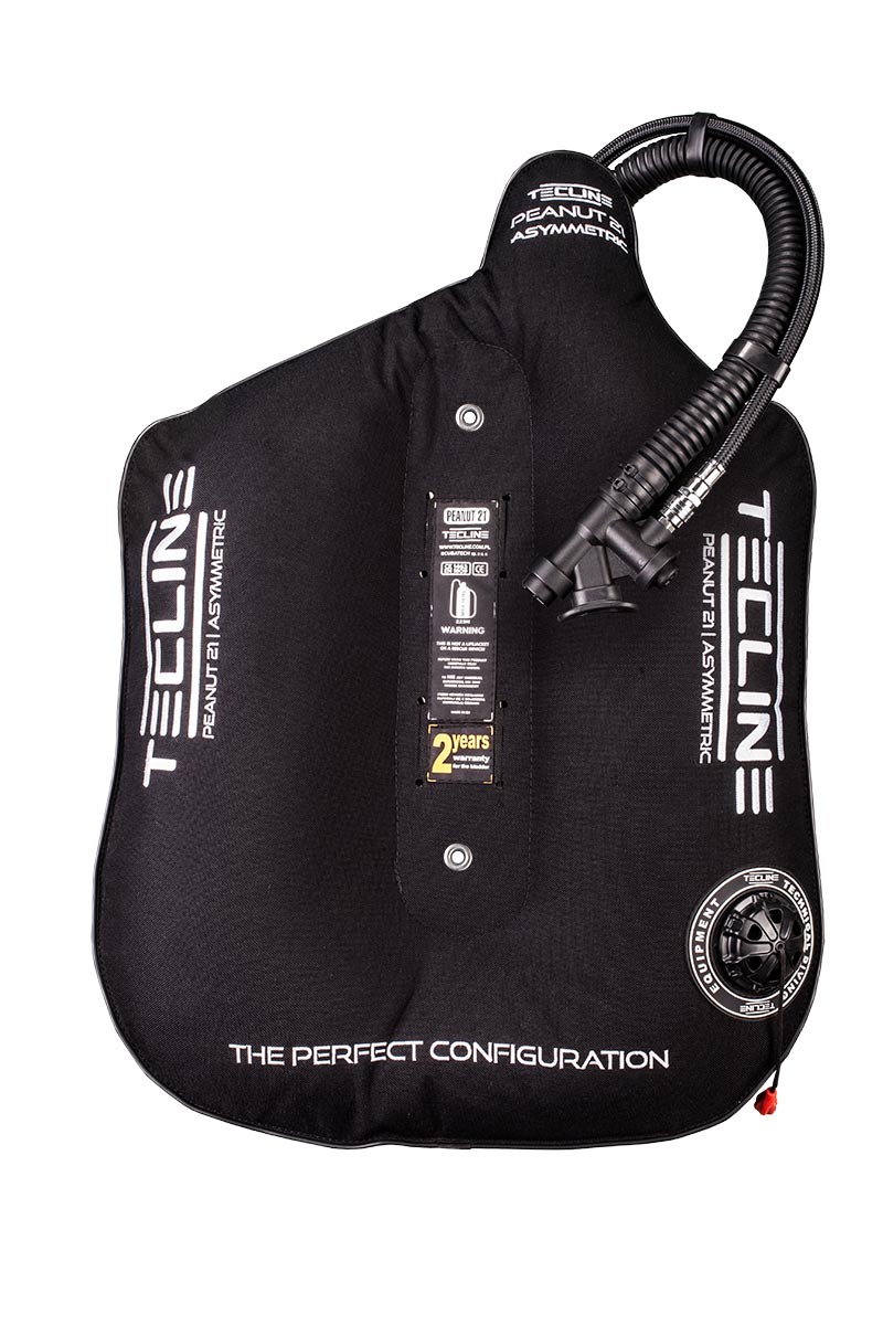 Tecline Peanut 21 asymmetric wing in black, front view with the inflator