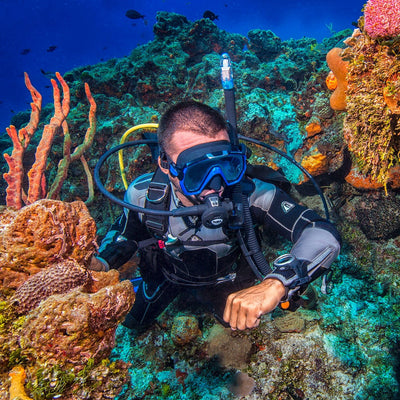 Diver beside a reef wearing a blue Tusa Freedom HD mask