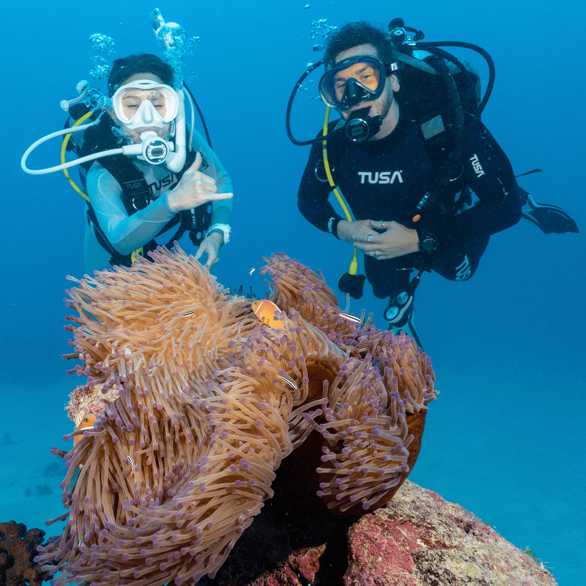 Two divers with Tusa masks beside an anemone